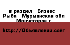  в раздел : Бизнес » Рыба . Мурманская обл.,Мончегорск г.